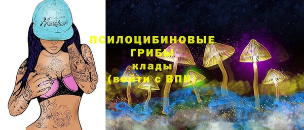 соль ск Балахна