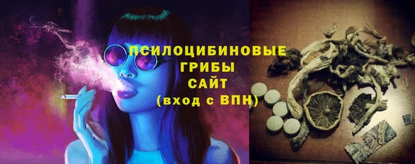 соль ск Балахна